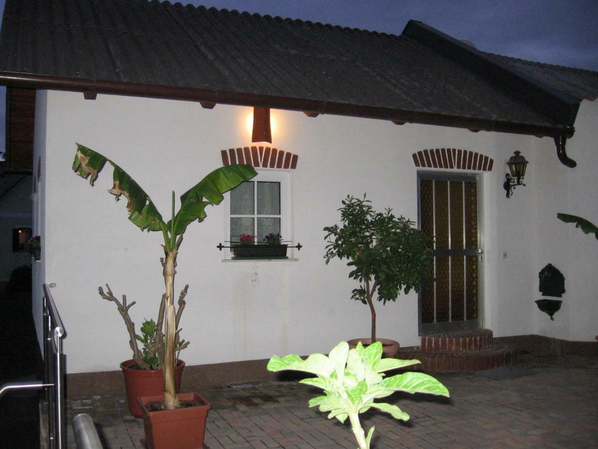 Ferienwohnung S' Kellerstoeckl Fehring Exterior foto
